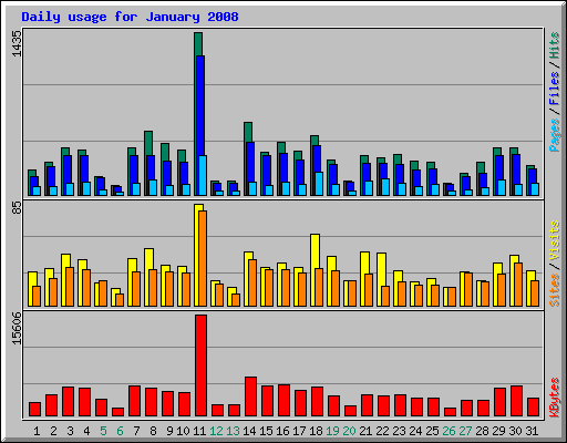 Daily usage for January 2008