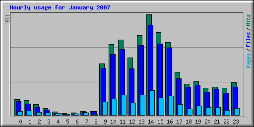 Hourly usage for January 2007