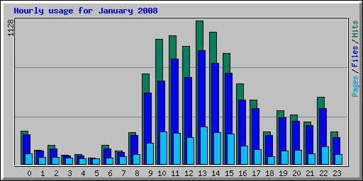 Hourly usage for January 2008